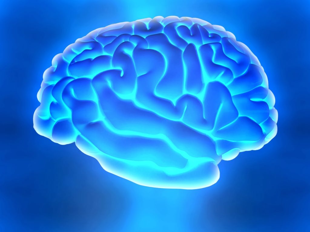 Brain com. Синий мозг. Мозг рисунок. Мозг картинка.